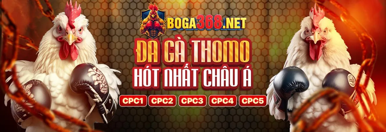 Các trò chơi sòng bạc trực tuyến tại betvnd8